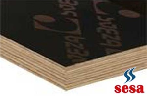 Sesa Sveza Birch Plywood Teknik Bilgiler