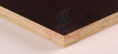 Brezilya Plywood