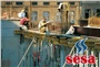 Plywood Proje Resimleri