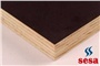 Brezilya Plywood Resimleri