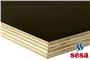 Brezilya Plywood Resimleri