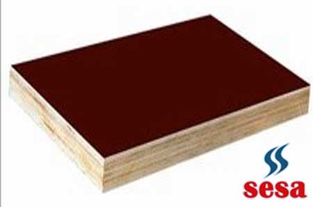 Vietnam Plywood Resimleri