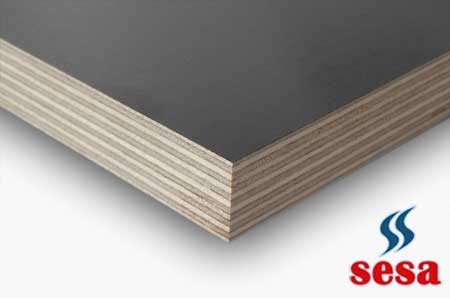 Sesa Sveza Birch Plywood Resimi