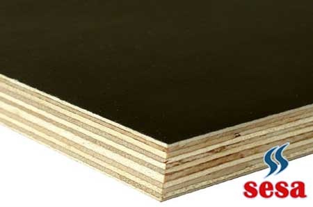 Brezilya Plywood Resimleri